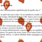 Confettura extra di fragole e melograno – Ispirata a Orgoglio e pregiudizio di Jane Austen